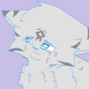 Meet your Posher, Thunder